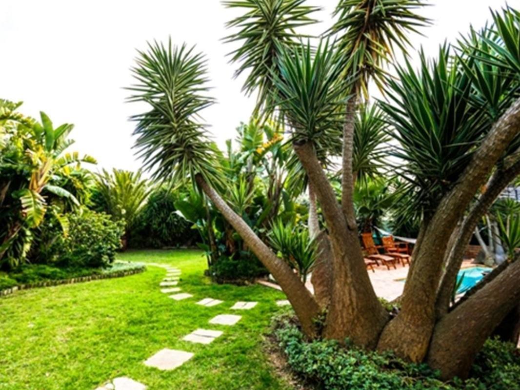 Secret Garden Guest house 4*